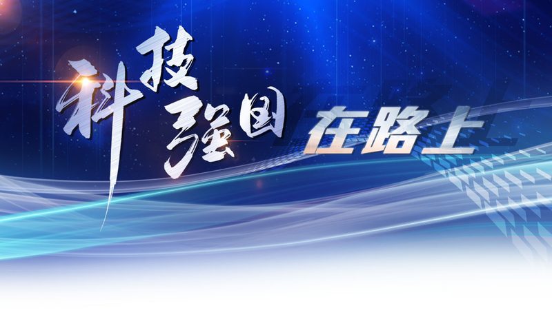 数据可视化动态图表：企业决策的智慧之眼
